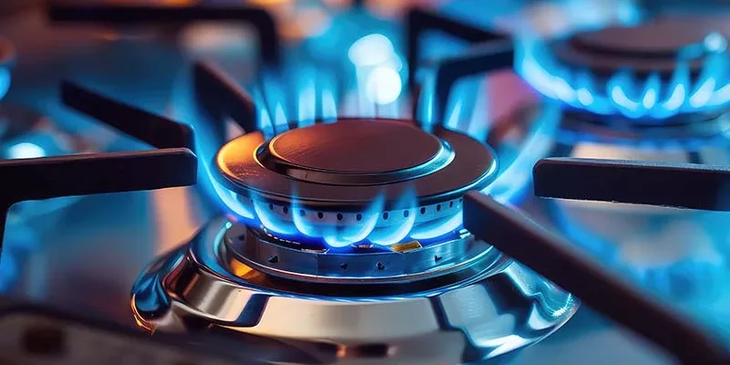 We Offer Flats Rates Appliance Repair in Naperville