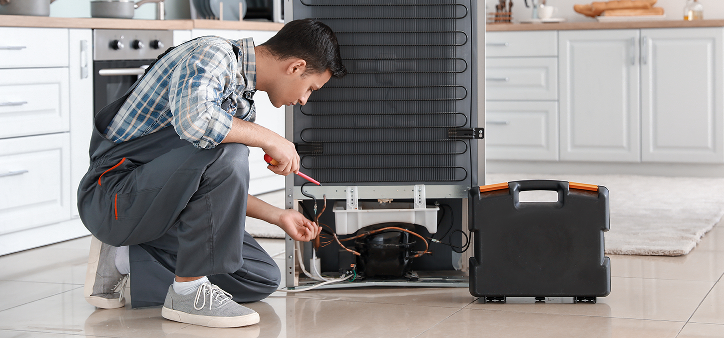 Electrolux Refrigerator Not Cooling Electrolux Refrigerator Not Cooling