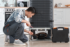 Samsung Appliance Repair Near Naperville Samsung Appliance Repair Near Naperville